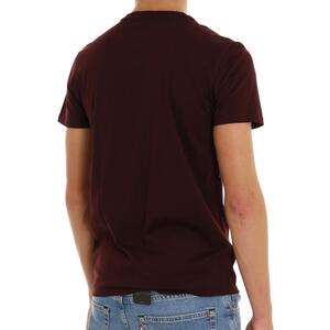 T-SHIRT BASIC LACOSTE - Mad Fashion | img vers.300x/